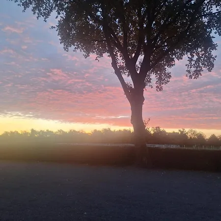 Appartement Het Uitzicht